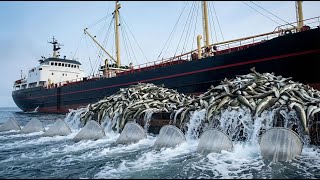 How This Giant Alaska Pollock Haul Is Caught — Real Trawler Fishing Explained