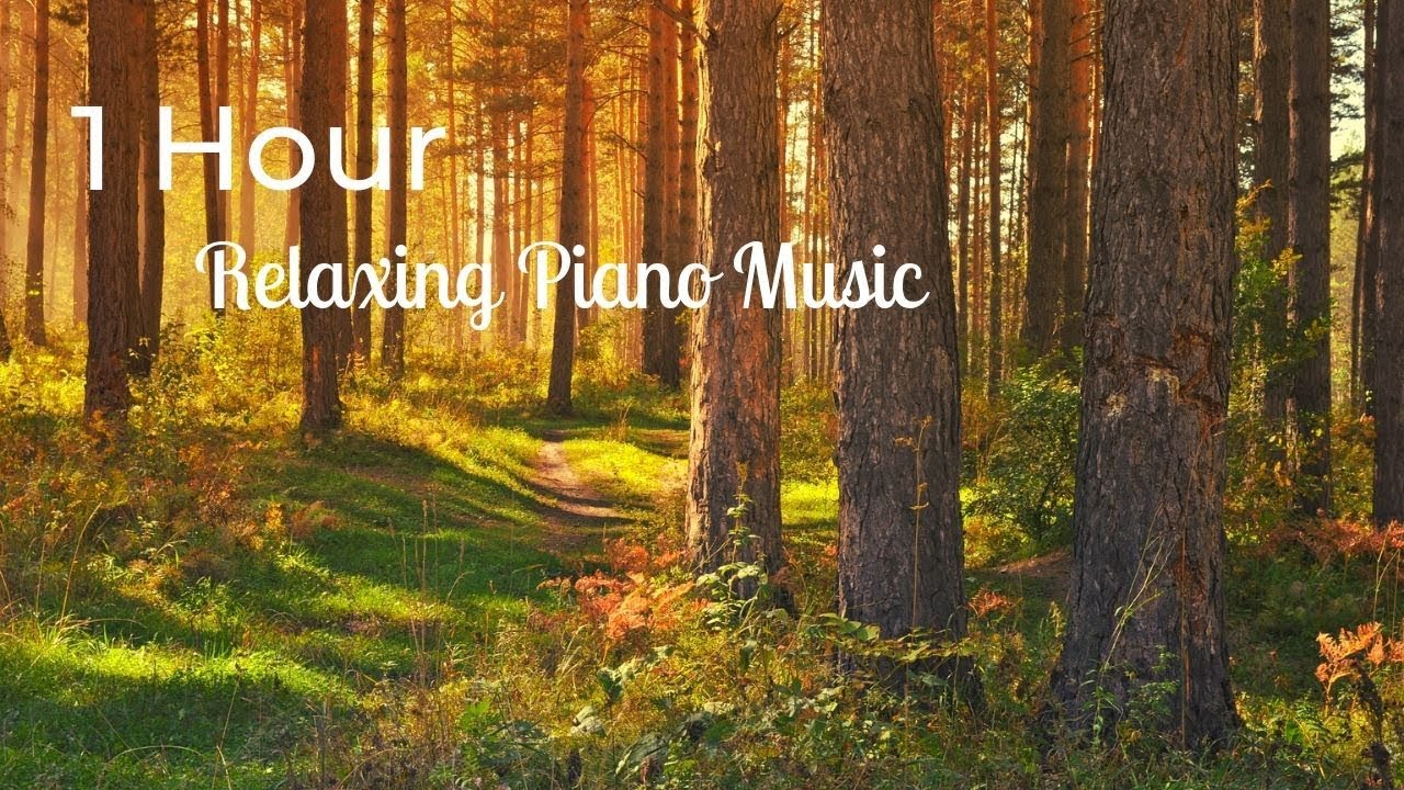 1 Hour Relaxing Piano Music for Sleep & Stress Relief - YouTube