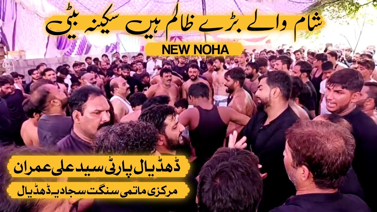 Sham Waly Brhy Zalim Hain Sakina Beti | New Noha Bibi Sakina SA | Dhudial Party 2024-25