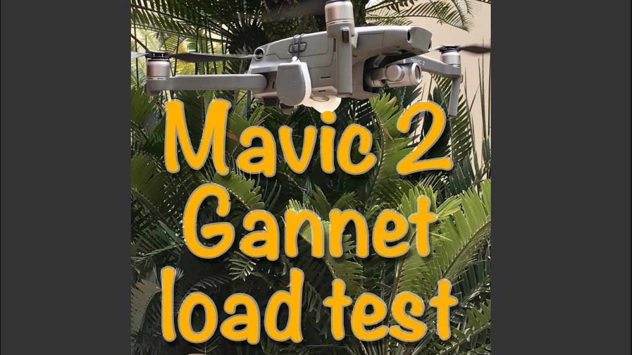 Mavic 2 load test 