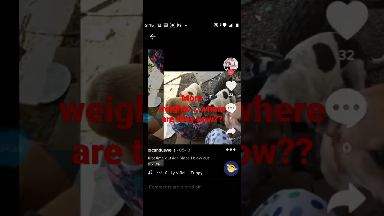 Where are the weights? 