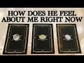 💞WHAT DOES HE/SHE THINK AND FEEL ABOUT ME RIGHT NOW?💞 |🔮Pick A Card🔮 | Love Tarot Reading (Timeless)