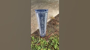 Easily check water levels with this rain gauge! #raingauge #rainmeter #amazonfinds #amazonmusthaves