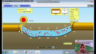Langkah Percobaan Fluida Dinamis (Virtual Lab Phet Azas Bernoulli)