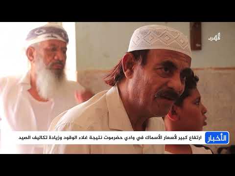 ارتفاع أسعار الأسماك في حضرموت يهدد الأمن الغذائي