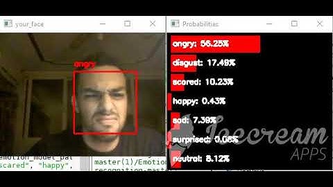 Real time emotions recognition