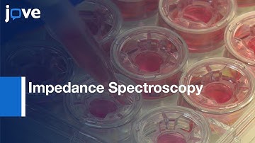 Impedance Spectroscopy in BBB Modelto study Cells Interaction | Protocol Preview