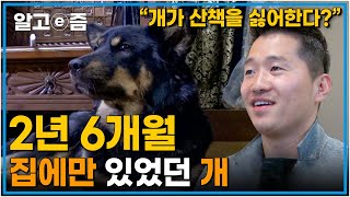 산책을 거부하는 개 “밖은 너무 위험해” 과연 강형욱 훈련사의 교육으로 세상을 볼 수 있을까?┃세상에 나쁜 개는 없다┃알고e즘