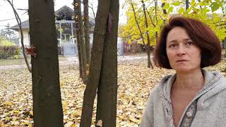 Tanja Jotanović O Seči Rogača Invazione Vrste Drveta