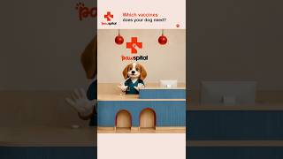 Dog Vaccines: Rabies, DAPP & Leptospirosis | Canine (K9) #Shorts