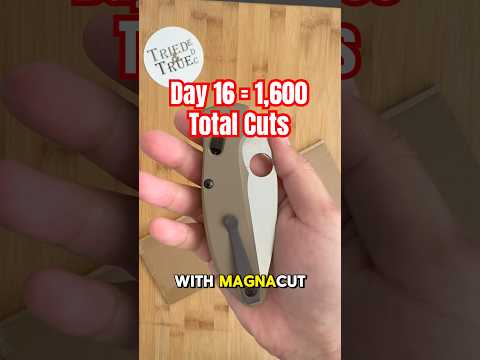 Day 1️⃣6️⃣: Edge Retention Testing - Spyderco Manix 2 LW Magnacut   