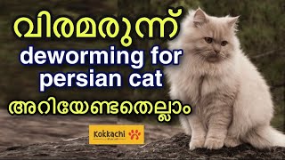 how to deworm persian cat malayalam| cat deworming malayalam |പൂച്ചക്ക് എങ്ങനെ വിര മരുന്ന് കൊടുക്കാം