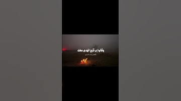 #الشيخ ياسر الدوسري #سورة القصص #قرآن كريم