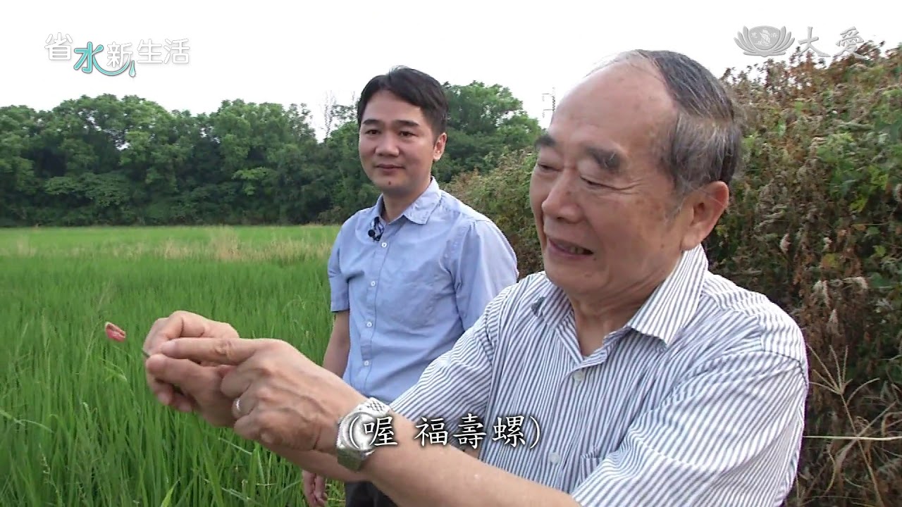 省3成 Sri水稻栽培技術 Youtube 省3成 Sri水稻栽培技術 Youtube