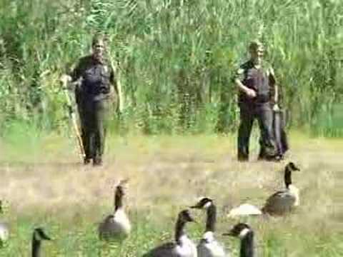 Conservation Officer / Fish and Game Wardens Job Description - YouTube