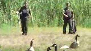 Conservation Officer / Fish and Game Wardens Job Description