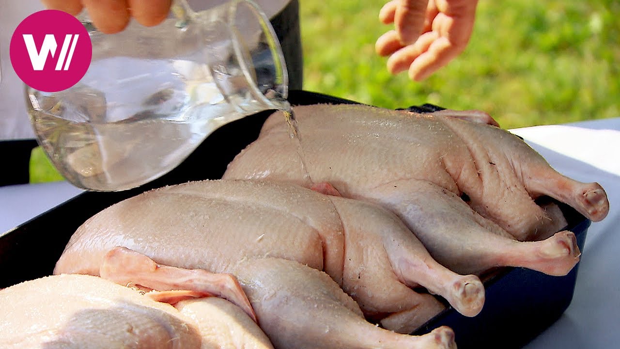 ⁣Traditionelle deutsche Küche - leckere Gerichte aus dem Spreewald