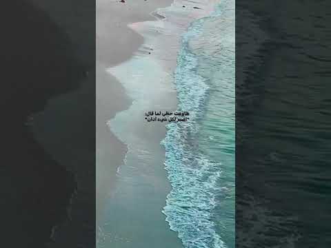 اصبر لكل شئ ادان حمزه نمره حالات واتساب