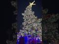 Whoville Grinch lighting the tree at Universal #themepark #universalstudios #universal #grinch #fy