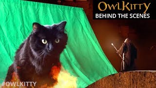 Lord Of The Rings + Owlkitty (Behind The Scenes)