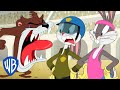 Looney Tunes em Português 🇧🇷 | Pernalonga contra o Diabo da Tasmânia | WB Kids