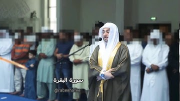 #سورة_البقرة # آيات_الصيام #محمد_ربيع_الحافي