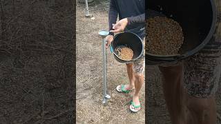 Alat Tanam Jagung Pertanian