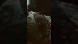 Nah it will not work plus its a pillow