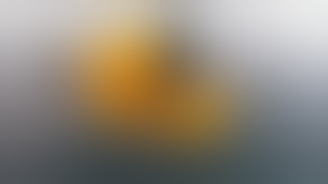 SC Skydiving 2nd Annual BOOGIE 2018