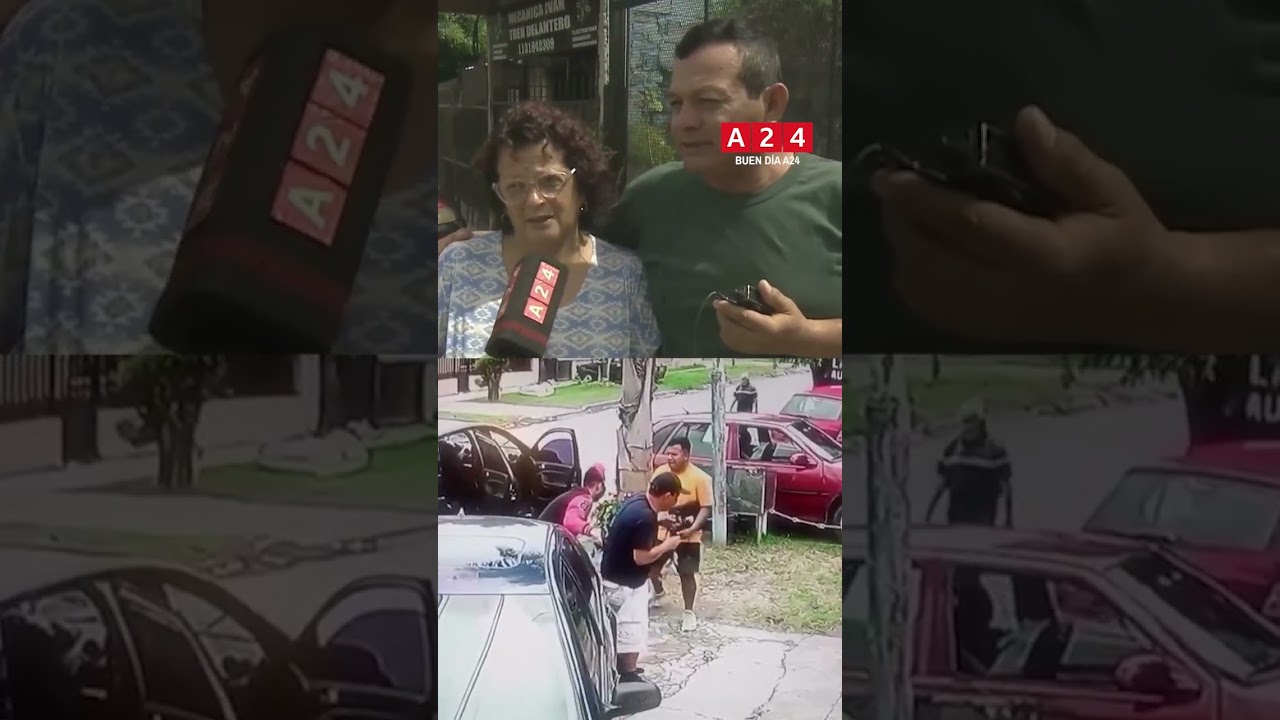 Con una máscara de IT y a los culatazos: violento robo a un matrimonio
