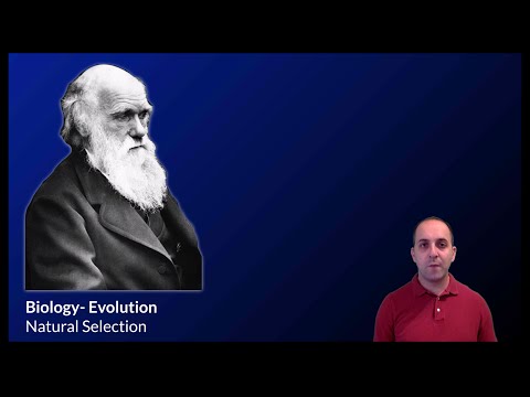 K-Bio Evolution 1: Natural Selection