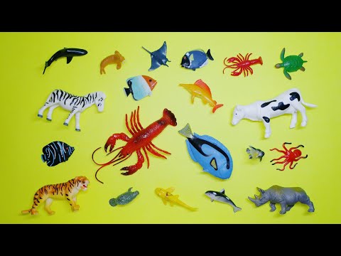 Learn Animal Names, Animal Toys, Animals For Kids, Sea Animals, Wild Zoo, Farm, Animals For Toodlers