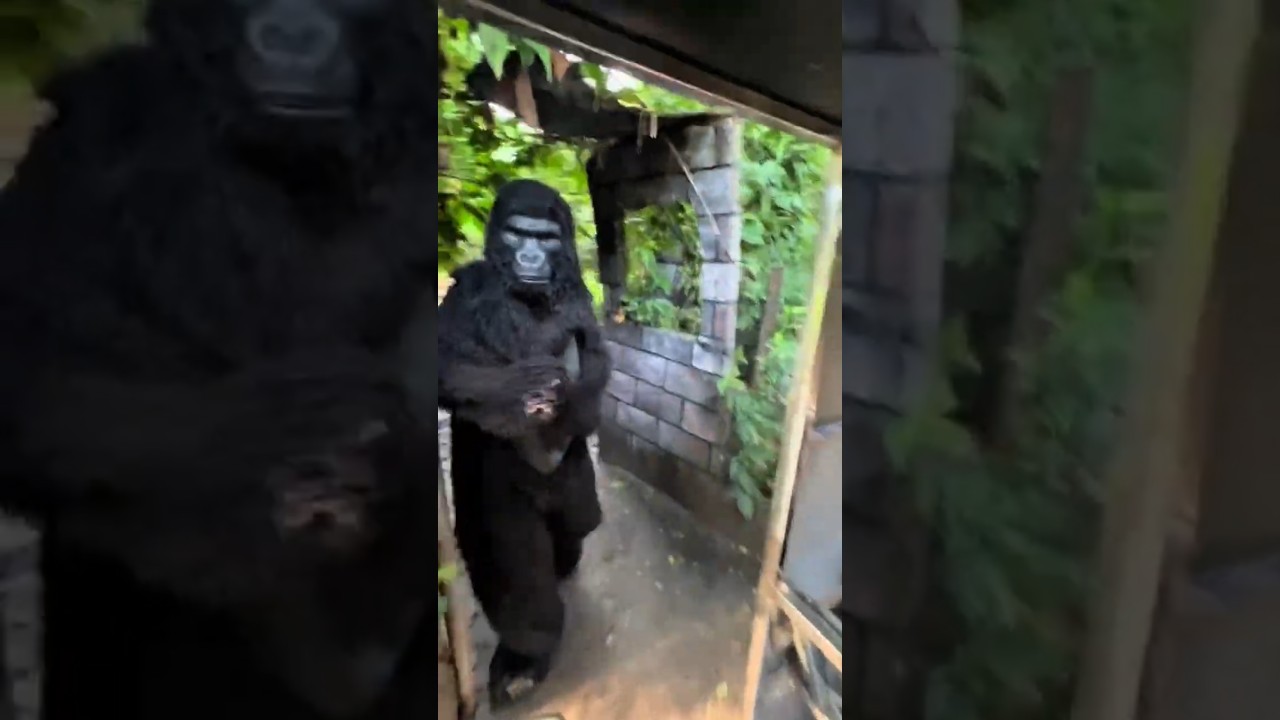 A Real-Life Jurassic Park Experience… With a Shocking Ending! 😱🔥... #shorts #jurassicworld