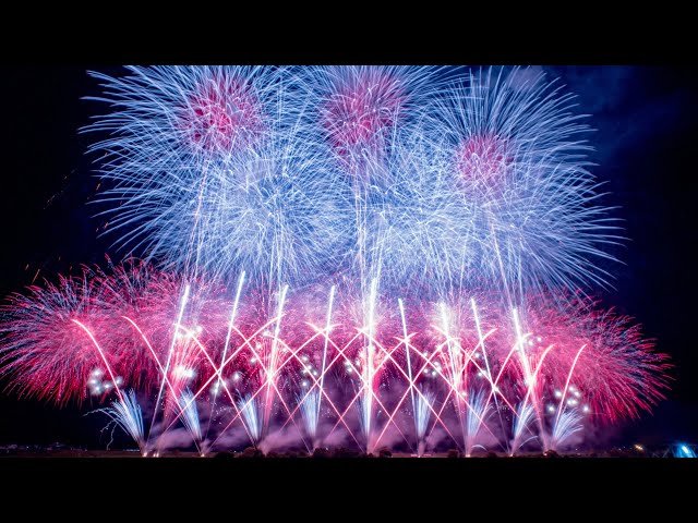 豪華絢爛　赤地 鶴と花柄 豪華絢爛 赤地 鶴と花柄