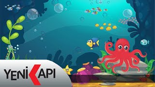 Demet Tekin - Octopus