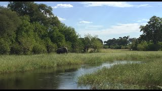 The Okavango Delta | Travel Vlog