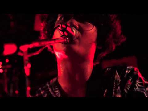 アマリリス - 花として (Live Clip)