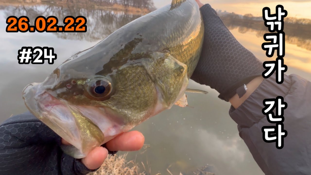 Ep.24 // 봄을 알리는 스피너 베이트 런커 배스