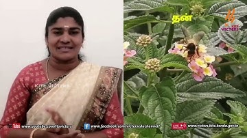 FB2 KITE Palakkad STD 6 Basic Science Episode 13 (First bell2  Tamil medium   பஸ்ட் பெல்)