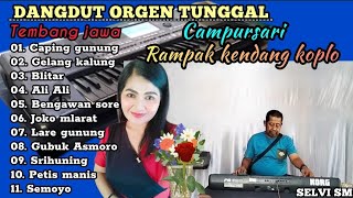 CAMPURSARI RAMPAK KENDANG KOPLO  CAPING GUNUNG FULL ALBUM