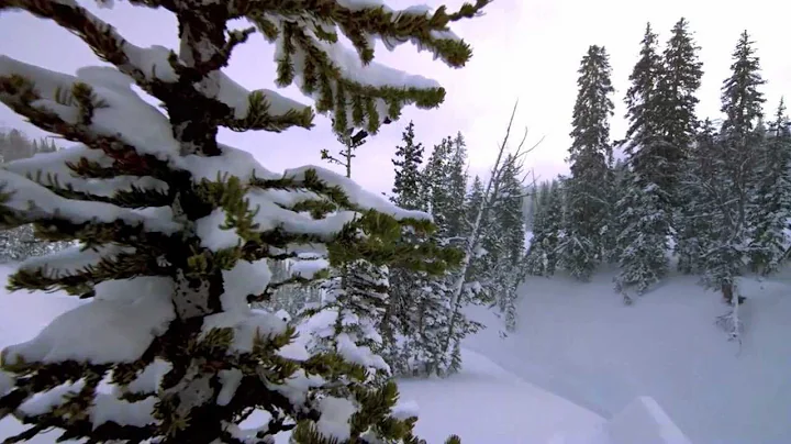 Film The art of flight - Trailer Snowboard 2011