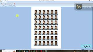 Print Multiple Passport Size Photos on One Page Using MS Office Excel/Word