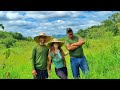 Vacas no pasto reservadotio chico caiu  fabio puxando uma carroapau de espinhotirando leite