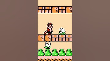 Rarest Enemies in Super Mario 3! 💀