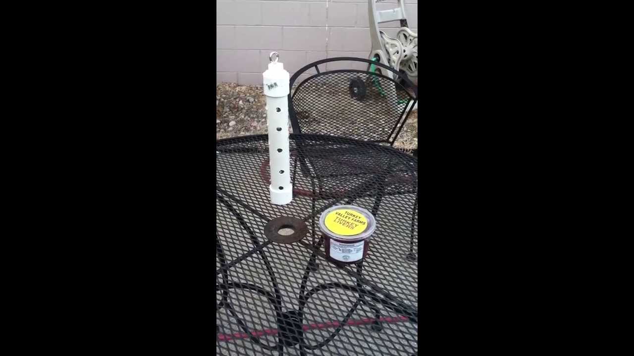 How to make a cat fishing chum stick YouTube