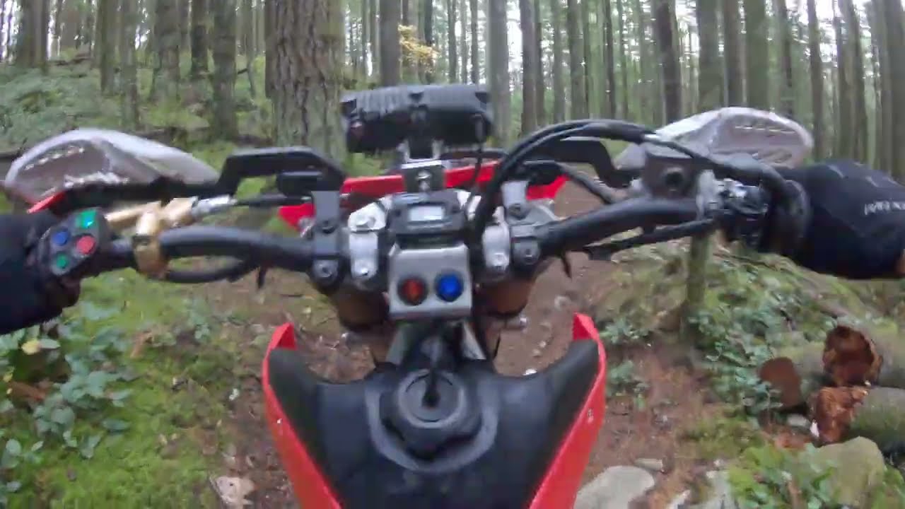Mcnutt - Future Trail & 100 Hour Mark