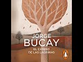 El camino de las lágrimas - Jorge Bucay. AUDIOLIBRO