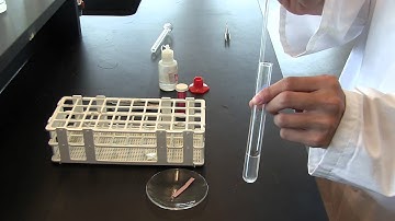 Lab #5 Reactions Part I