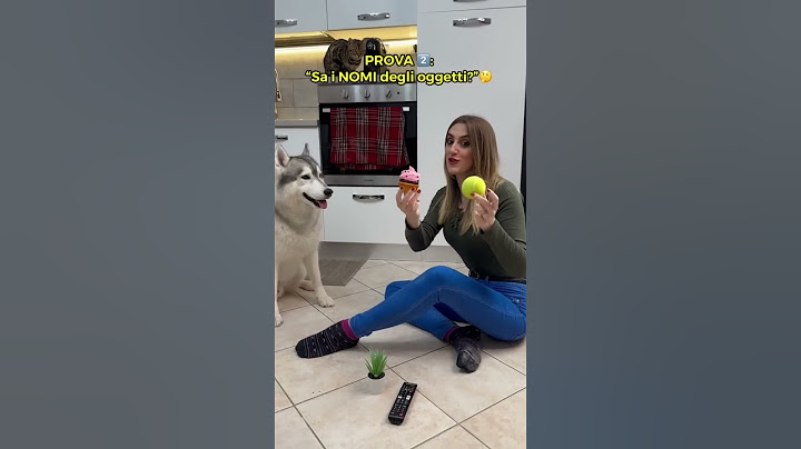 Il mio CANE sa RICONOSCERE gli OGGETTI? 😨🐶🤔 #cane #cani #dog #dogs #dogchallenge