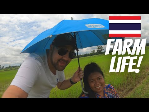 This is the REAL THAILAND! | Living In The Village